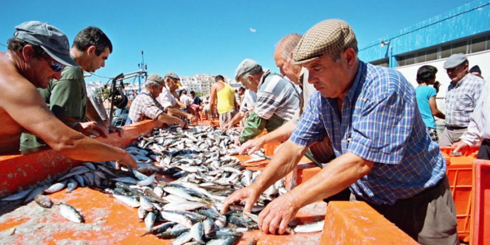 western-algarve-fish-market